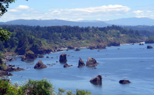 Trinidad coastline