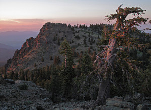 North Yolla Bolly Peak at the southern tip of the Klamath Mountains. Courtesy of Michael E. Kauffmann.
