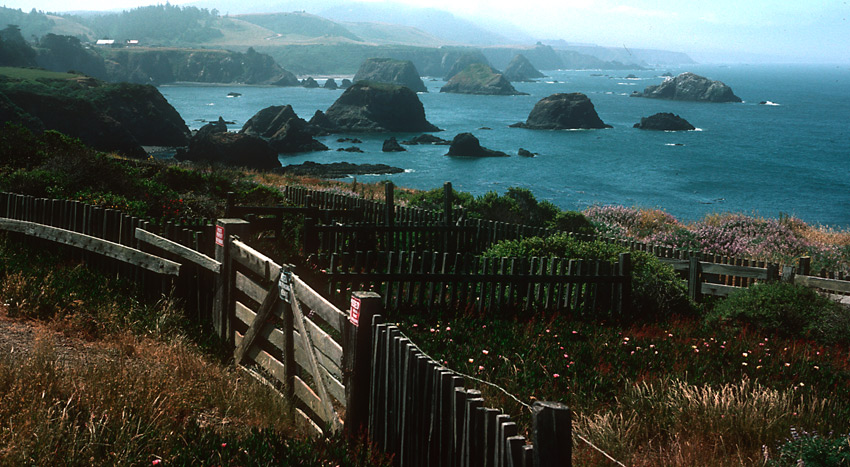 Mendocino coast.