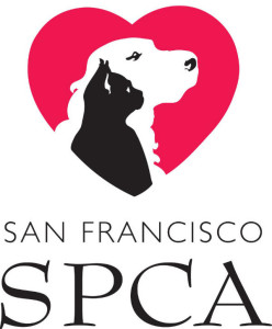 San Francisco SPCA.