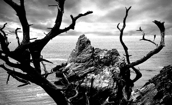 Pinnacle Cove, Point Lobos, California. Photography by Ansel Adams.