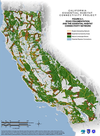 California Essential Habitat Connectivity Project.
