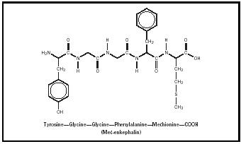 Endorphin chemical structure.