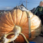 Half Moon Bay Pumpkin Festival winner (2012).