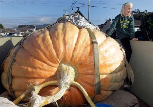 Half Moon Bay Pumpkin Festival winner (2012).