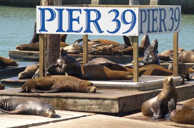 Pier 39 in San Francisco.