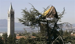 Berkeley tree sitters (2008).