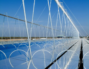 Ausra solar thermal power north of Bakersfield.