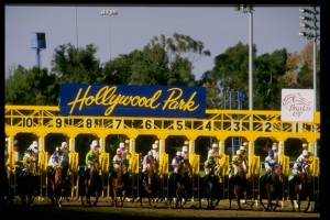 Breeder's Cup World Championship.