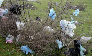 Plastic bag litter.