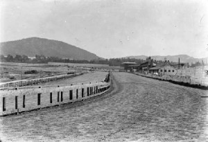 Bay District Racing Track quarter stretch. Mt. Sutro in the distance (1890s).