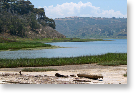 Batiquitos Lagoon.