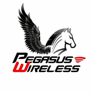 Pegasus Wireless.