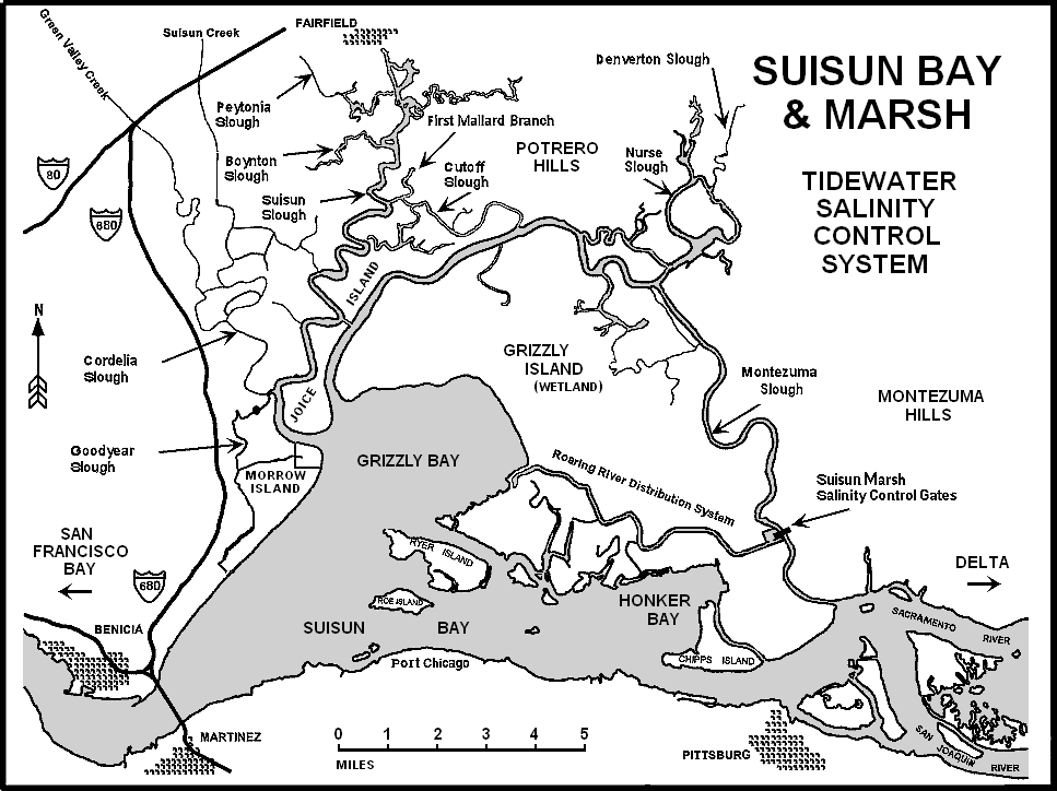 Suisun Marsh.