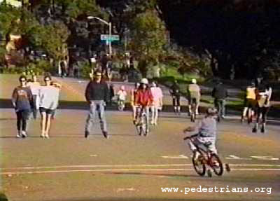 Golden Gate Park pedestrians.