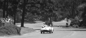 Golden Gate Park Road Race.