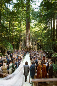 Sean Parker's wedding (2014).