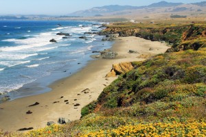 San Simeon coastline.