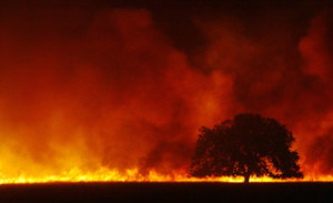 Humboldt Fire.