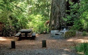 San Mateo County Memorial Park.