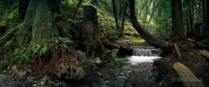 Limekiln State Park.